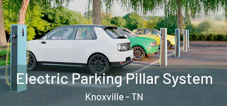  Electric Parking Pillar System Knoxville - TN