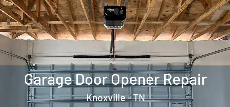  Garage Door Opener Repair Knoxville - TN