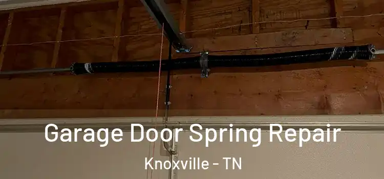  Garage Door Spring Repair Knoxville - TN