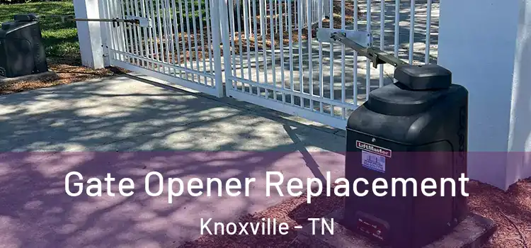  Gate Opener Replacement Knoxville - TN