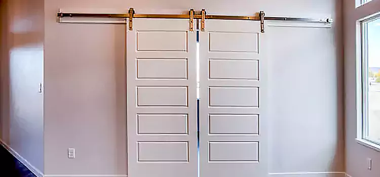 Glass Barn Door with Installation Hardware Kit Knoxville