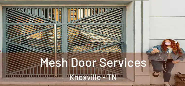 Mesh Door Services Knoxville - TN