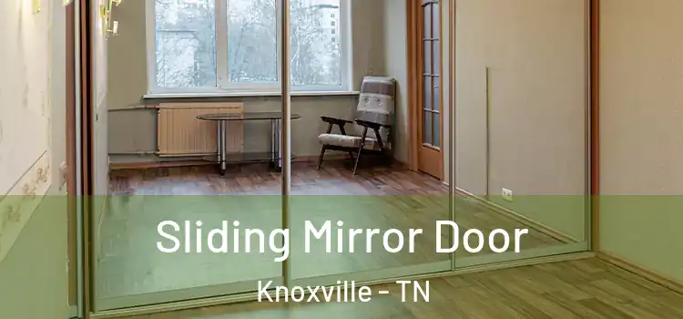  Sliding Mirror Door Knoxville - TN